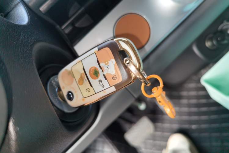 Used Qiyuan Lumin 2023 205km Xiangqin Version
