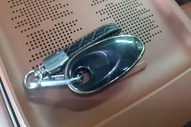 Used VOYAH FREE 2024 Ultra-Long Range Intelligent Driving Version Interior 1