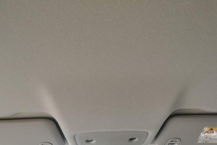 Used Leapmotor T03 2025 310 Comfort Edition Headliner