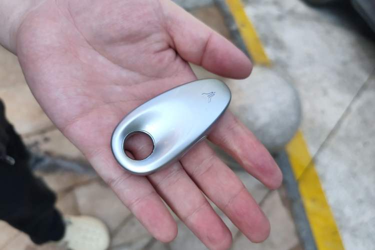 Used VOYAH FREE 2021 Two-Wheel Drive Standard Pure Electric City Edition
