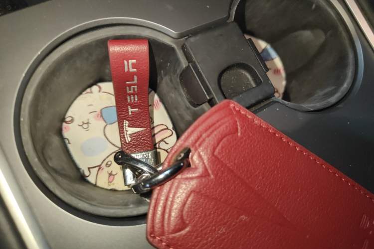 Used Tesla Model 3 2021 Standard Range Rear-Wheel Drive Upgraded Version 3D6
