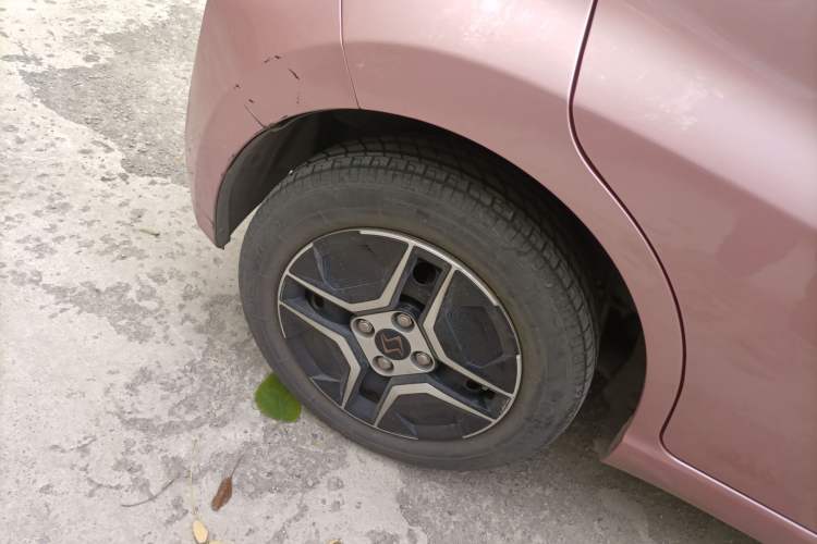 Used SOL E10X 2022 Flower Fairy Design Four-Leaf Clover