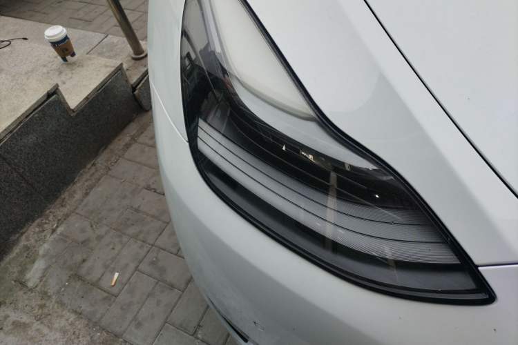 Used Tesla Model Y 2021 Long-Range All-Wheel-Drive Version 3D7