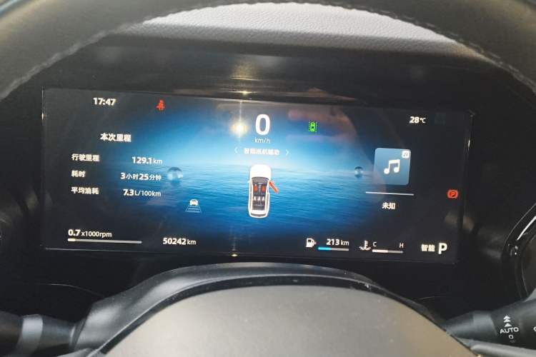 Used Geely Auto Monjaro L 2024 2.0TD High-Power Automatic Two-Wheel Drive Skyline Edition
