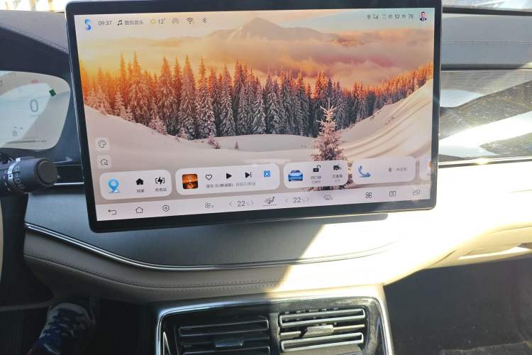 Used BYD Tang New Energy 2024 DM-p Champion Edition 215 km All-Wheel-Drive Flagship Model