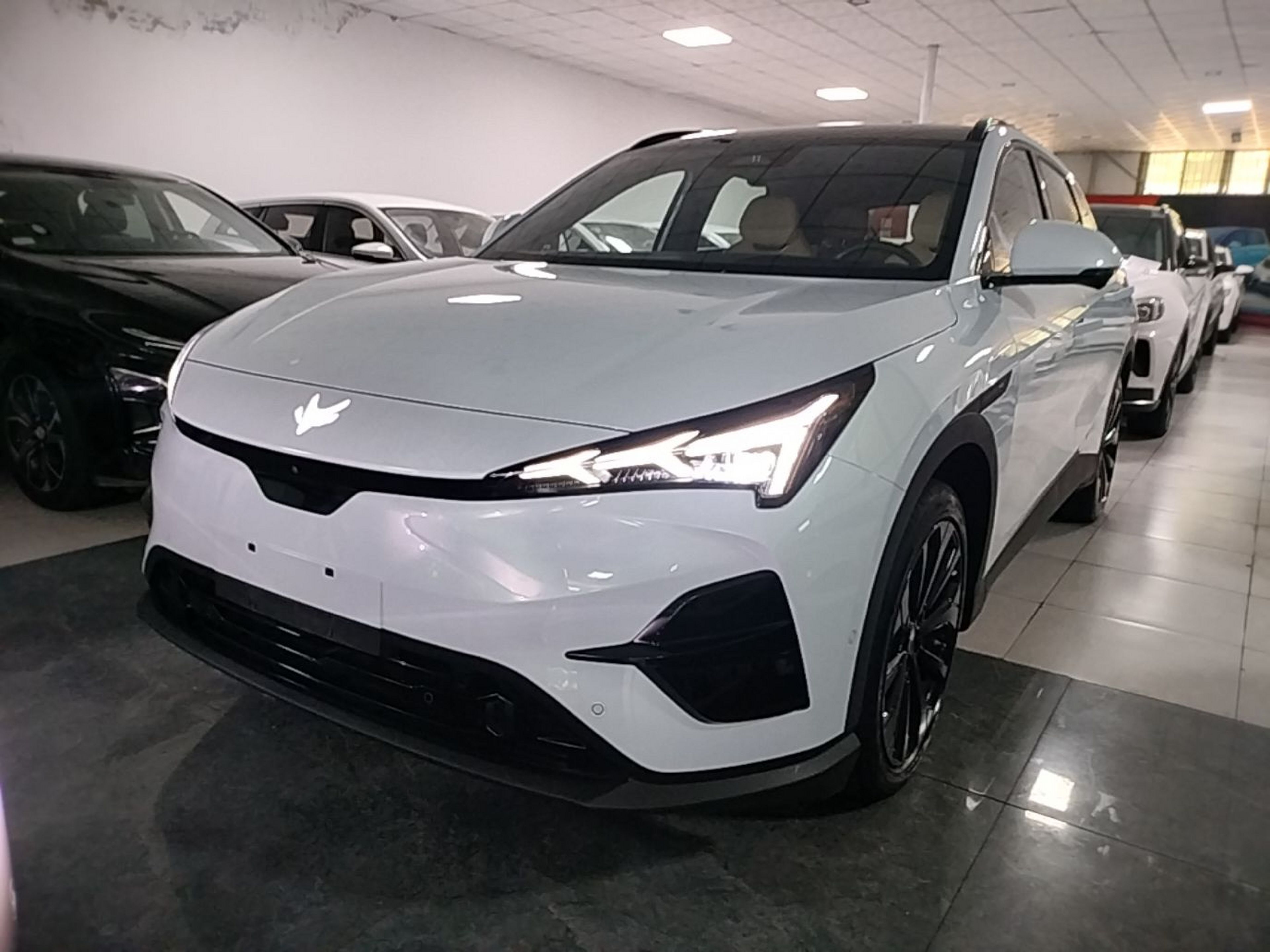 Under Front Bumper