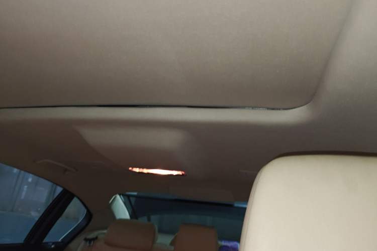 Used BMW 7 Series 2009 730Li Leading Model Headliner