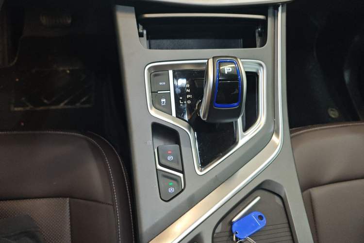 Used Livan Maple 80v L 2024 515 km Range 7 Seats Gear Lever