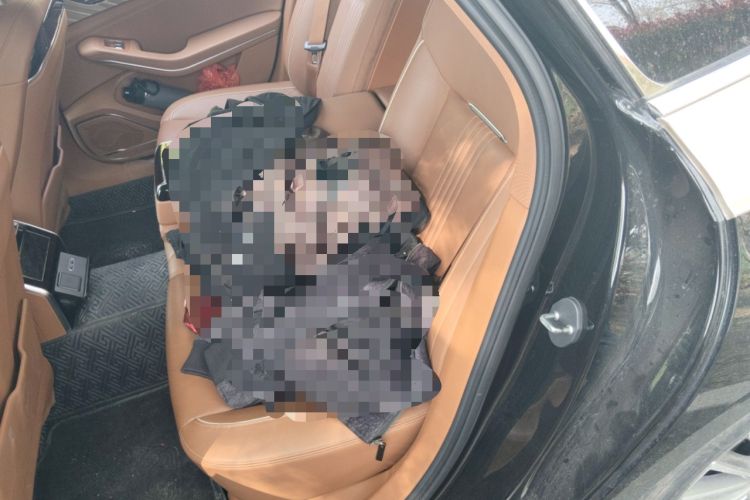 Used Hongqi H9 2020 2.0T Smart Connect Flagship Edition