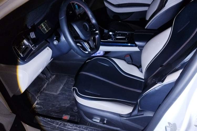 Used BYD Qin PLUS 2021 EV 500KM Luxury Model Left Front Seat