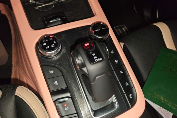 Used Tank 300 2021 City Edition 2.0T—Truly Stylish