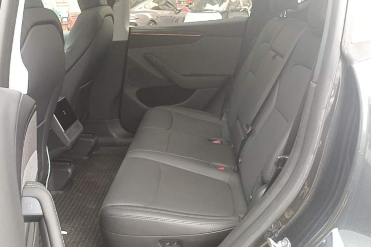 Used Tesla Model Y 2025 Rear-Wheel-Drive Version Left Rear Seat
