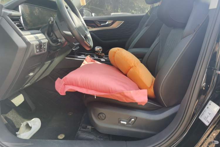 Used Hongqi HS5 2022 Facelifted Version 2.0T Smart Connect Flagship All-Wheel-Drive Edition Driver Seat