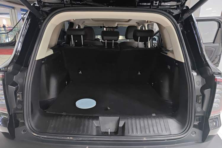 Used Haval DARGO 2024 2.0T DCT Chinese Rural Dog Edition
