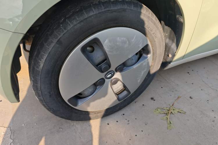 Used ORA Black Cat 2022 301km "Cute & Dynamic" Phosphate Iron Lithium
