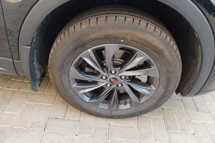 Used Hongqi HS5 2025 2.0T Two-Wheel Drive Flagship Pro Edition