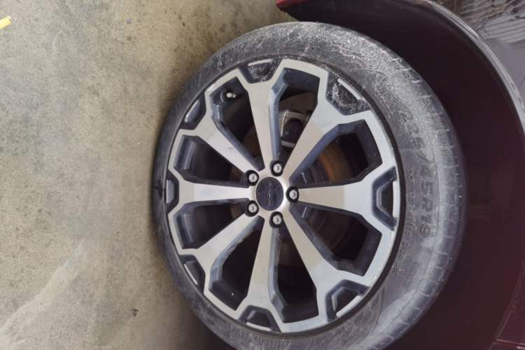 Used AION V 2024 Aion Tyrannosaurus 650 LiDAR Edition Exterior 5