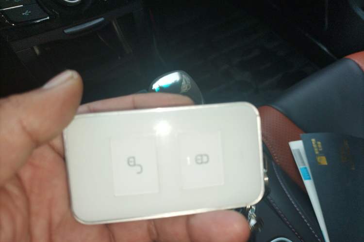 Used BYD Qin New Energy 2016 Qin EV300 Prestige Model
