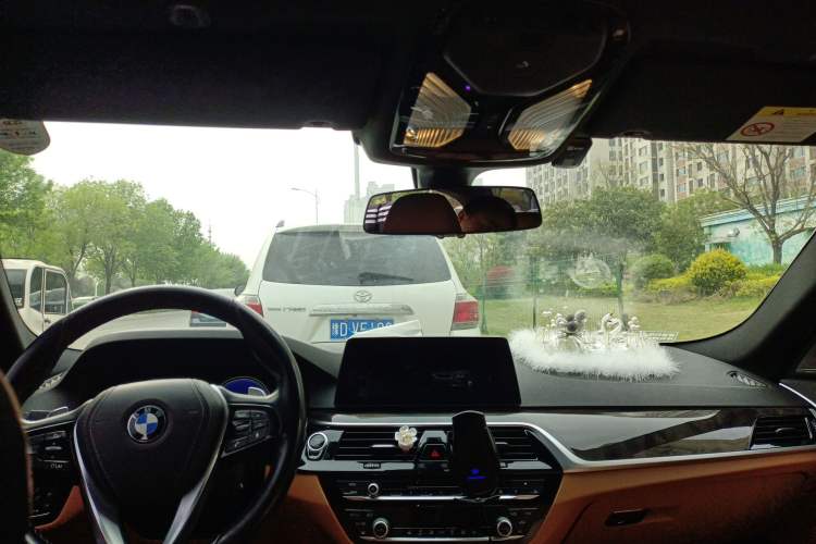 Used BMW 5 Series 2018 530Li Leading Model M Sport Package Headliner