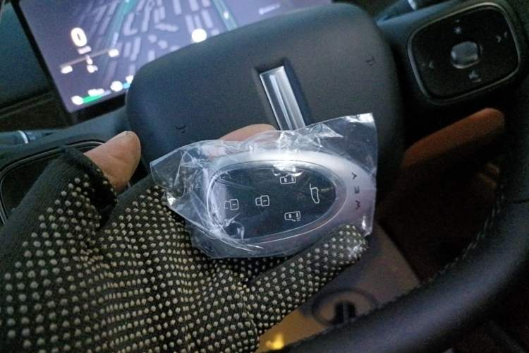 Used Wey Gaoshan 2025 Four-Wheel Drive Alpine 8