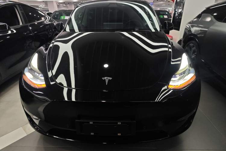 Used Tesla Model Y 2021 Standard Range Rear-Wheel Drive Version
