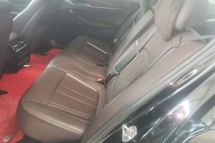 Used BMW 5 Series 2020 530Li xDrive Luxury Package
