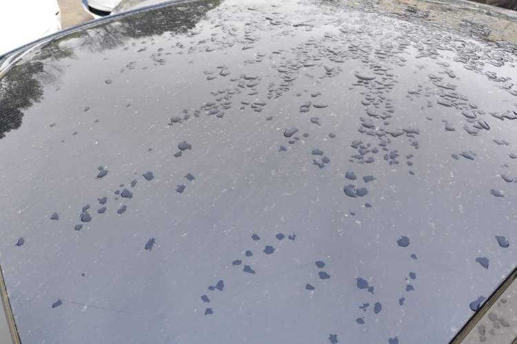 Used BYD Destroyer 05 2024 HONOR Edition DM-i 55KM Luxury Model Roof