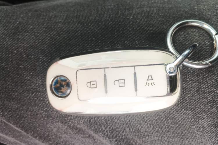 Used Venucia T70 2020 2.0L CVT Luxury Edition China VI Standard Interior 1