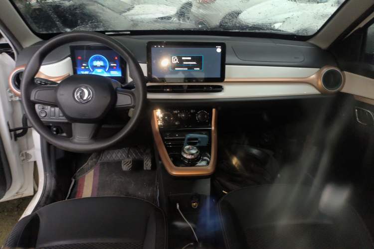 Used Dongfeng NAMMI EX1 2023 PRO Light Wind Edition Lightning Model