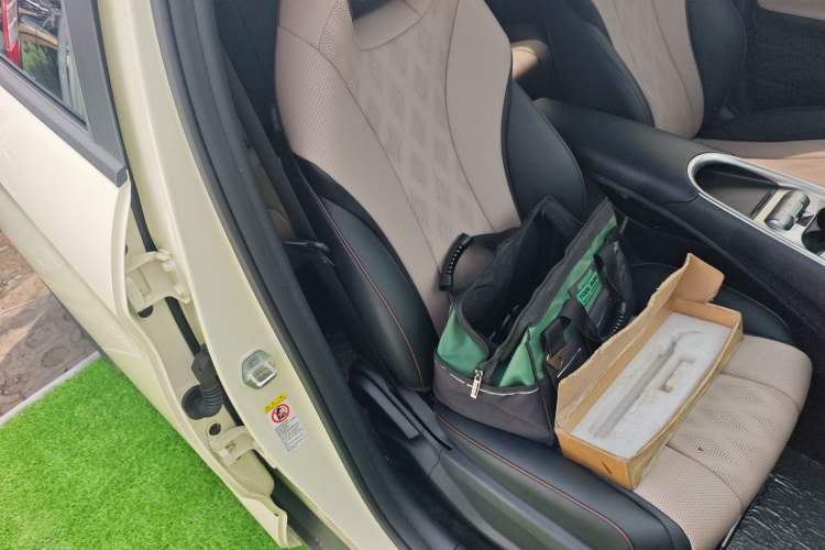 Used BYD Dolphin 2025 420km Active Version Right Front Seat