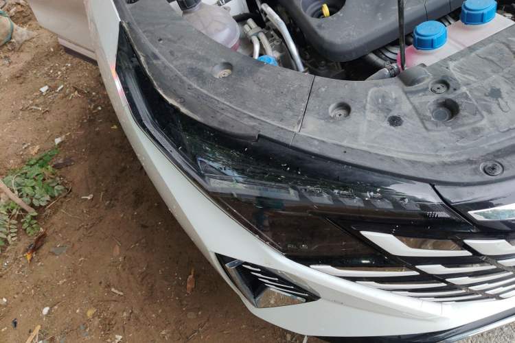 Used CHANGAN UNI-Z New Energy 2024 Blue Whale Smart Electric iDD 125km Beyond Edition
