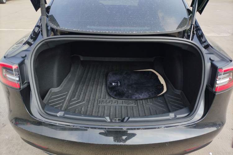 Used Tesla Model 3 2021 Standard Range Rear-Wheel Drive Upgraded Version 3D6