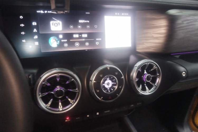 Used Tank 300 2022 2.0T Border Limited Edition