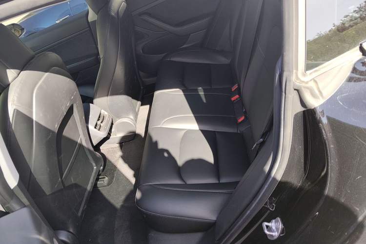 Used Tesla Model 3 2020 Long-Range Rear-Wheel-Drive Version