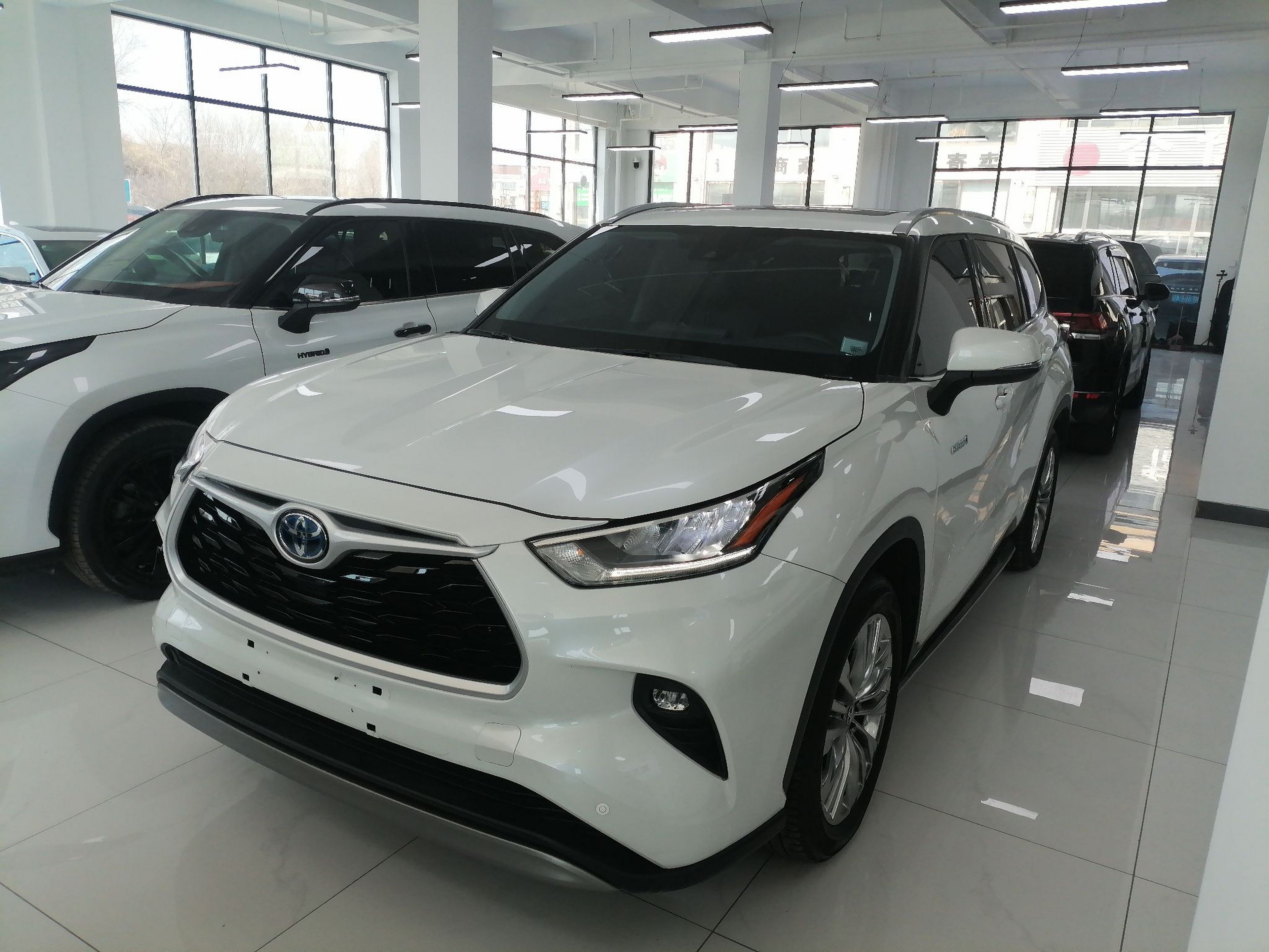 Parte inferior delantera