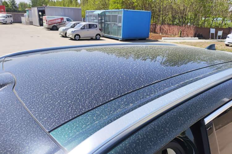 Used Wey Lanshan 2025 Four-Wheel Drive Max
