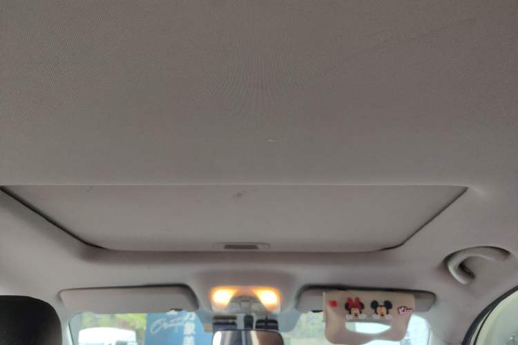 Used GAC Trumpchi GS4 2016 235T G-DCT Luxury Edition Headliner