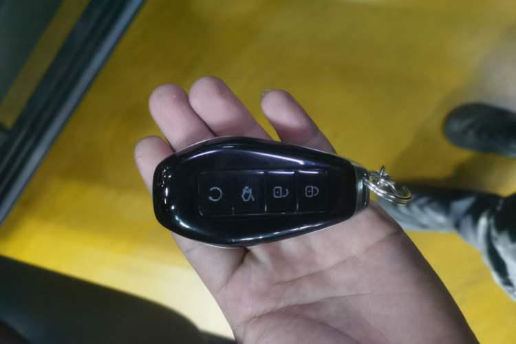 Used Denza N9 2025 Flagship Model