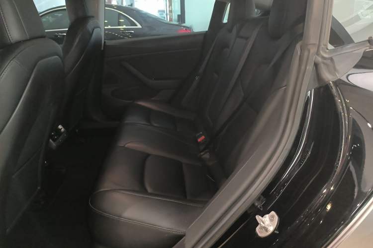 Used Tesla Model 3 2019 Long-Range Rear-Wheel-Drive Version Left Rear Seat