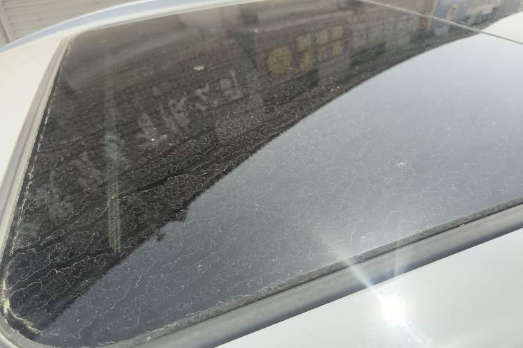 Used AION Y 2023 Plus 510 Enjoy Edition