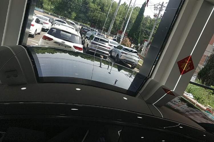 Used Tesla Model 3 2022 Rear-Wheel-Drive Version Roof