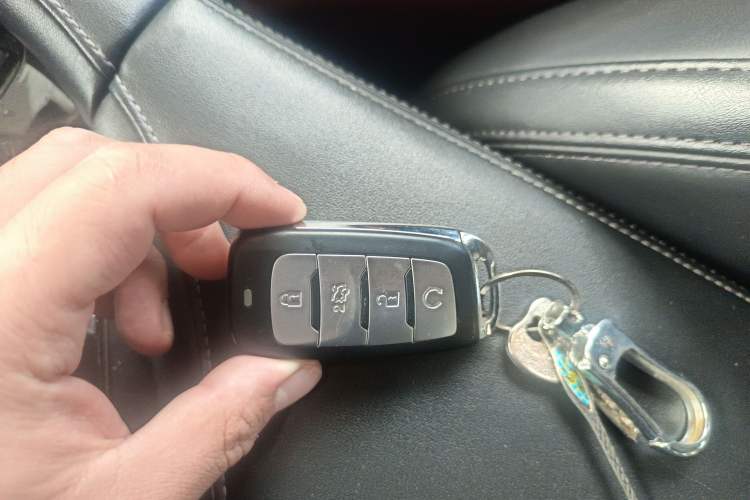 Used Changan CS95 2019 2.0T Two-Wheel-Drive Luxury Version