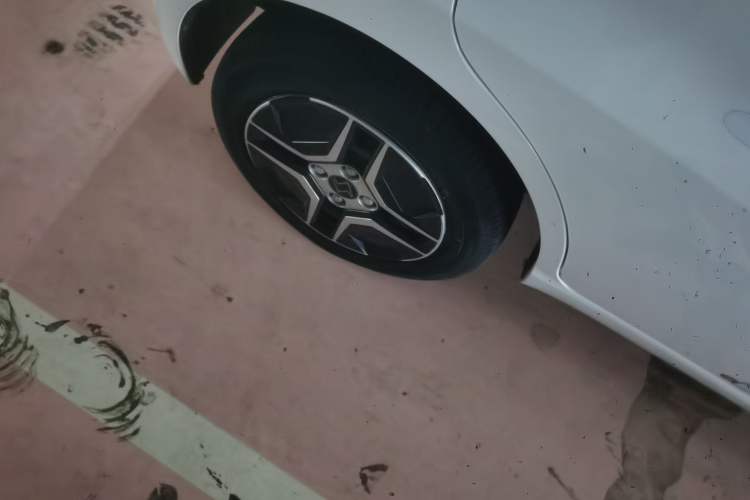 Used SOL E10X 2022 Flower Fairy Design Four-Leaf Clover