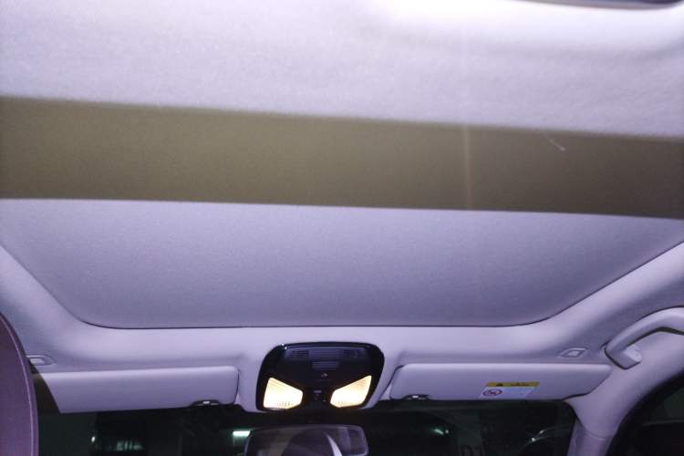 Used BMW 3 Series 2020 Facelifted 325i M Sport Package Headliner