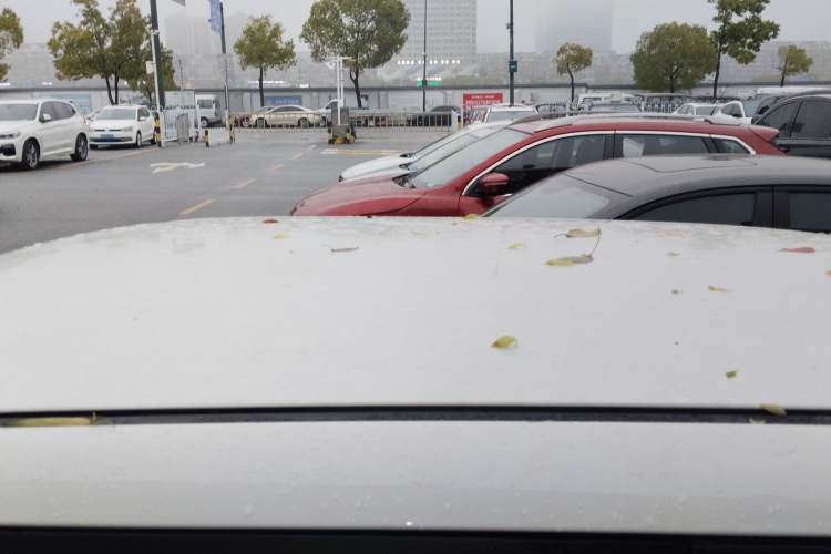 Used CHANGAN NEVO Lumin 2023 205km Xiangqin Version