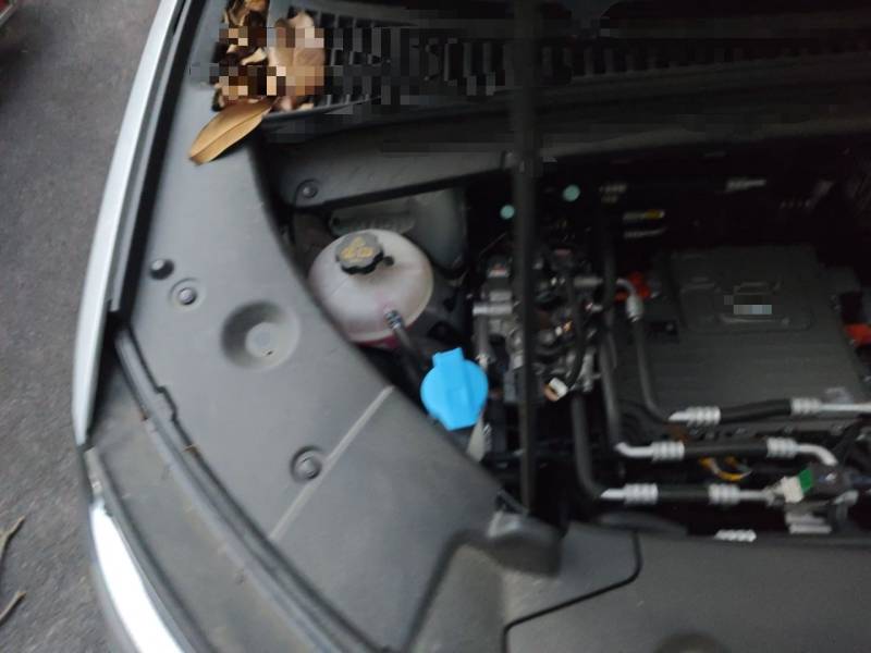 Used BYD Yuan UP 2025 Intelligent Driving Version 401 KM Dynamic Edition — 28