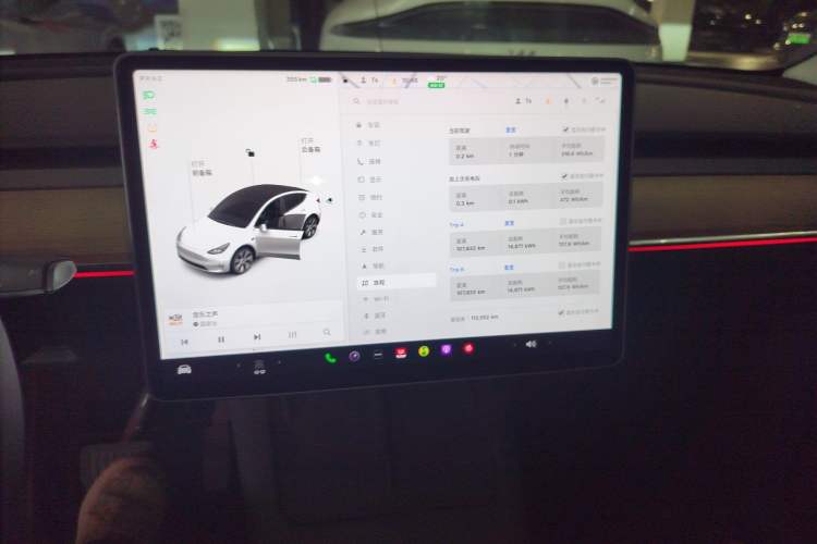 Used Tesla Model Y 2021 Standard Range Rear-Wheel Drive Version
