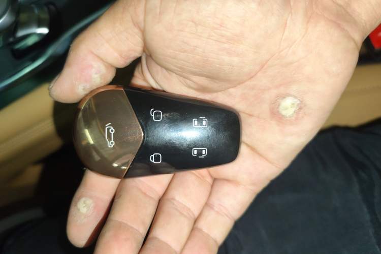 Used VOYAH Dream 2022 Low-Carbon Edition Dream+ Smart Enjoyment Package