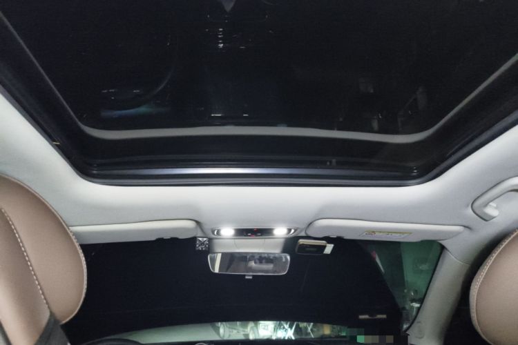 Used Leapmotor C11 2023 Pure Electric 500 Smart Edition
