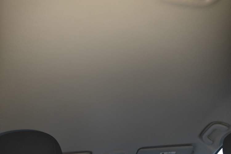 Used FORTHING S50 2021 Battery-Swapping Version